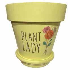 Best reviews of 🥰 Disney Planter Pot - 2022 Flower & Garden Festival - Plant Lady 🎁